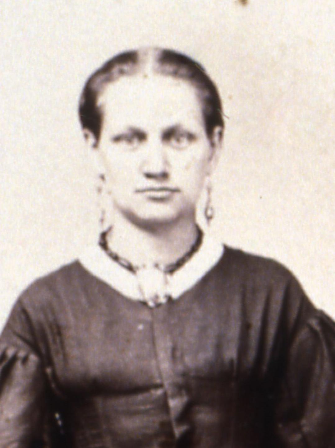 Nancy Ann Homer (1841 - 1876) Profile